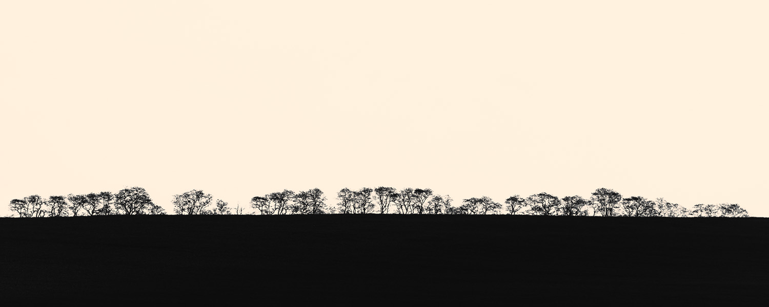 Scherenschnitt Bäume Panorama