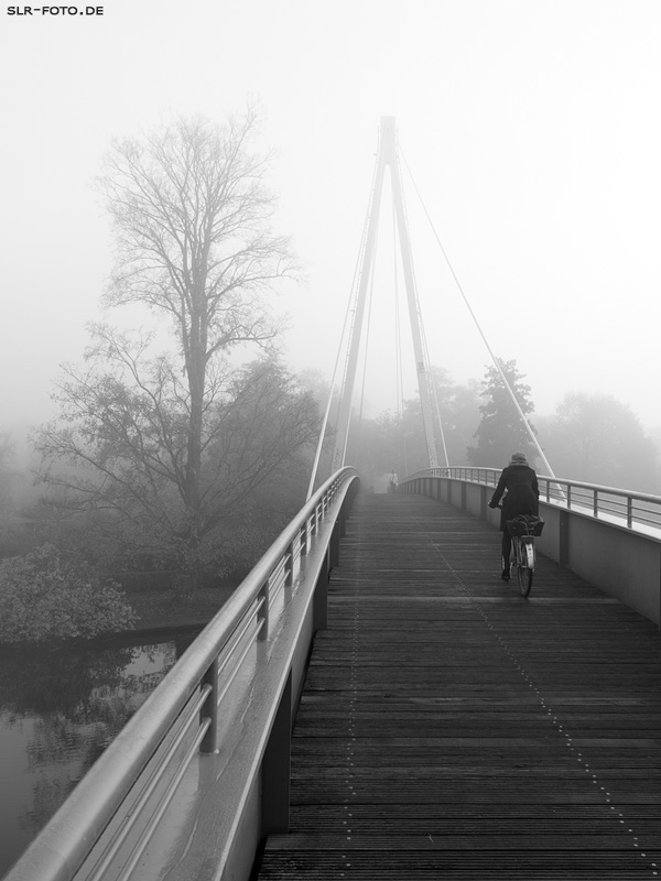 Radfahrerin auf Brücke im Nebel - Katzengrabensteg