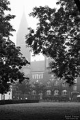 Rathaus Köpenick im Nebel