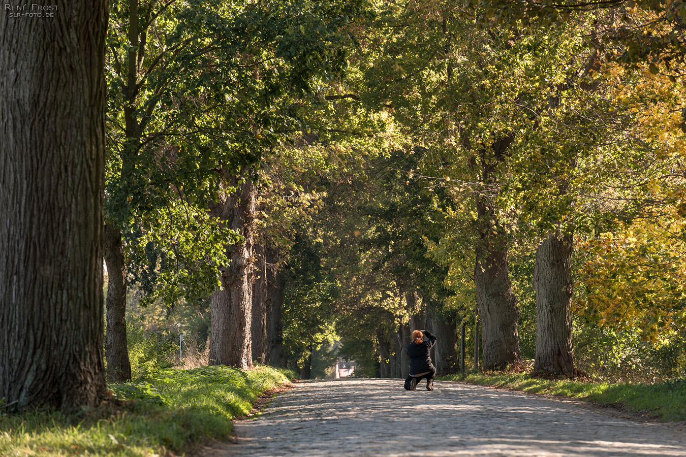 Allee und Fotografin - 1190