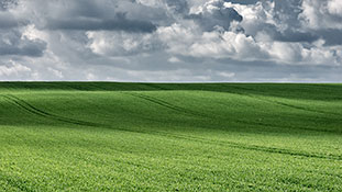 Grünes Feld mit Wolken