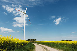 Erneuerbare Energien - Rapsanbau und Windkraftanlagen
