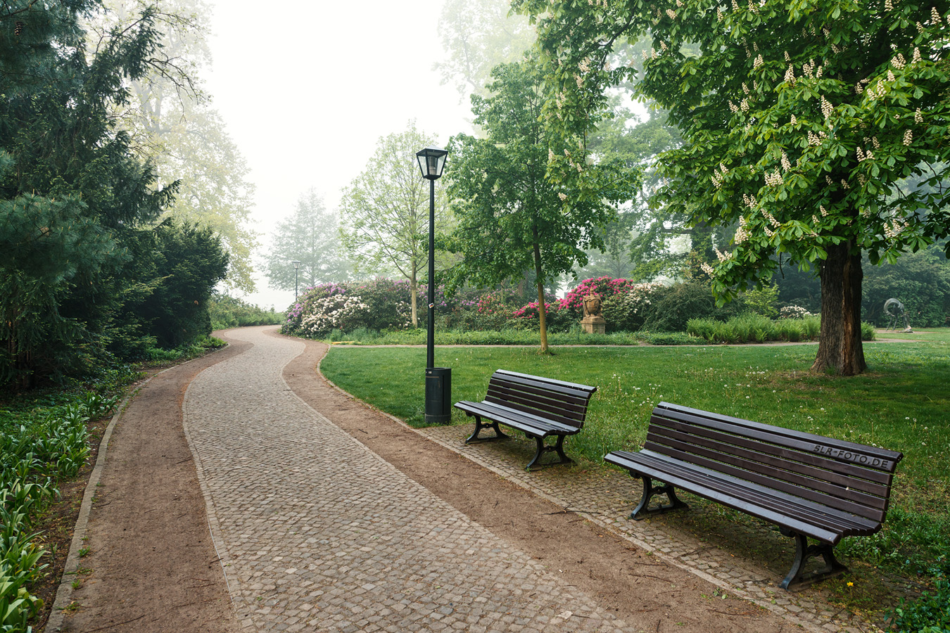 Schloßpark Köpenick bei leichtem Nebel