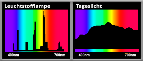 spektrale Zusammensetzung des Lichts